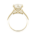 Cushion Cathedral Hidden Halo Lab-Grown Diamond Ring
