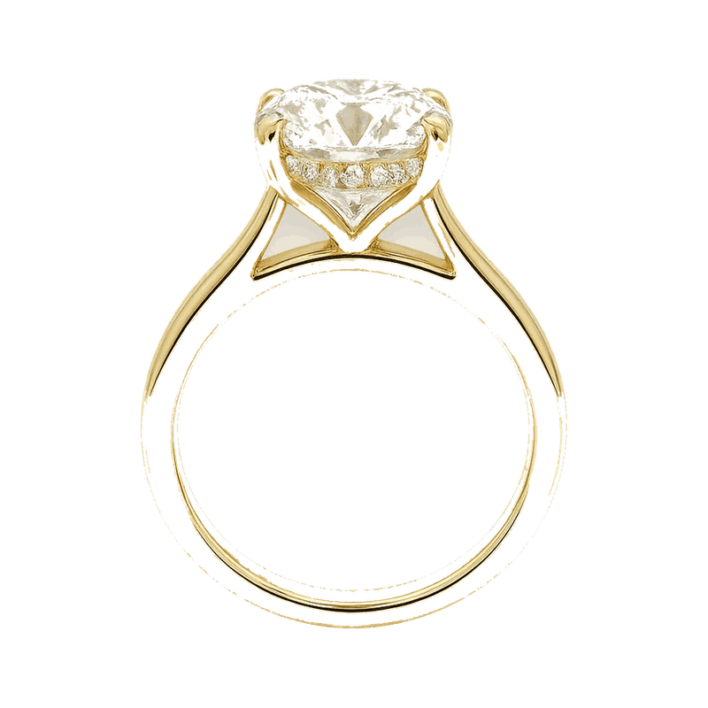 Cushion Cathedral Hidden Halo Lab-Grown Diamond Ring