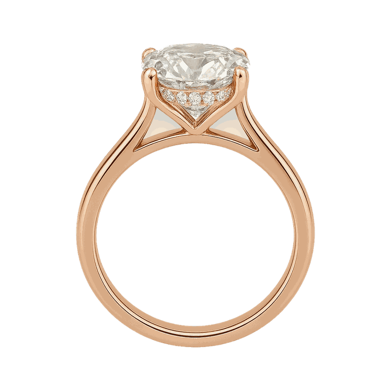 Cushion Cathedral Hidden Halo Lab-Grown Diamond Ring
